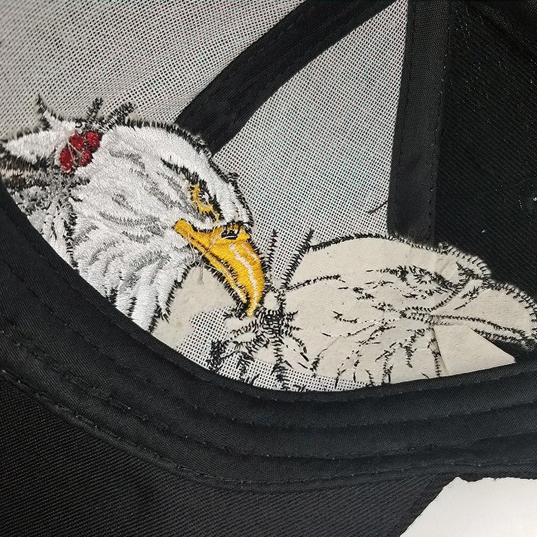 Gothic eagle embroidered tactical baseball cap dark alternative style headwear collection view