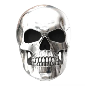 Front facing cracked skull ring detail showing realistic skull anatomy and carved eye sockets on pure white background