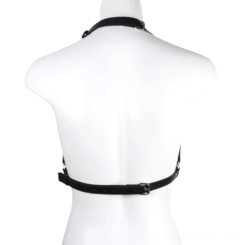 Back view of leather harness showing adjustable buckle closures and back strap construction