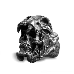 Tribal skull biker ring with saber-tooth motif and feather carvings, aged dark stainless steel, front three-quarter view